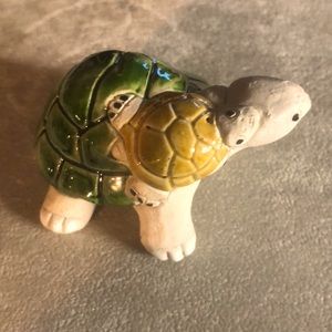 Miniature Turtle Very Cute